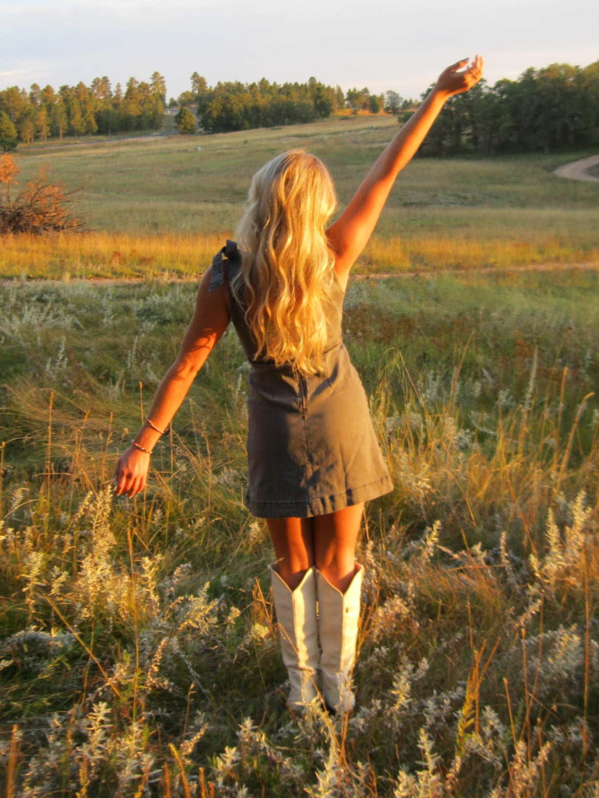 Midnight Denim Mini Dress