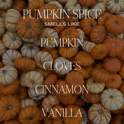 Pumpkin Spice Matte Candle