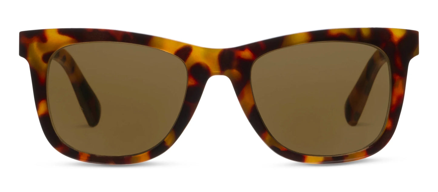 Harbor Sunglasses