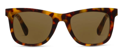 Harbor Sunglasses