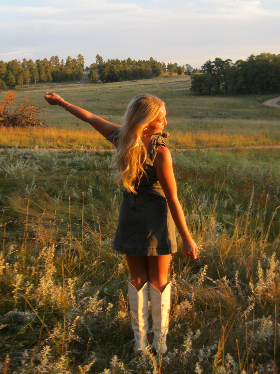 Midnight Denim Mini Dress