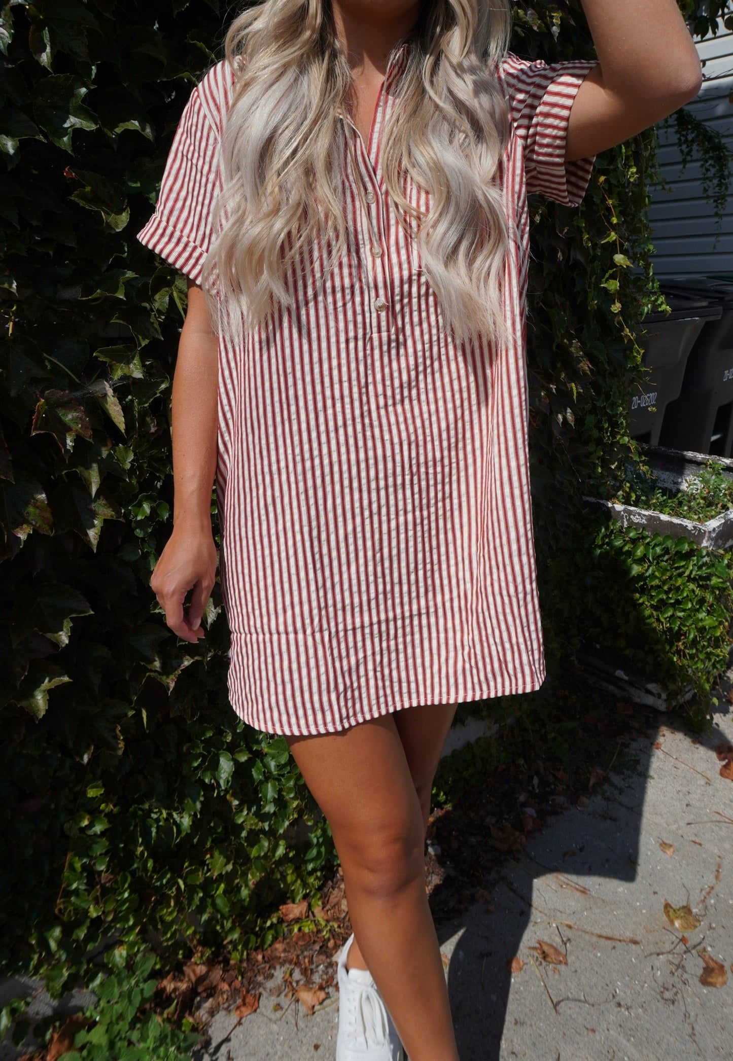 Logan Striped Mini Dress