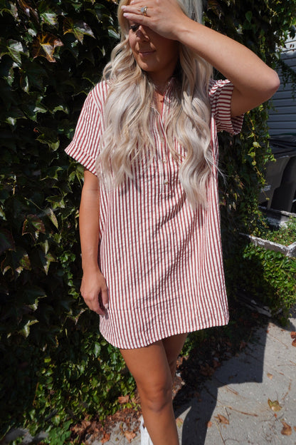 Logan Striped Mini Dress