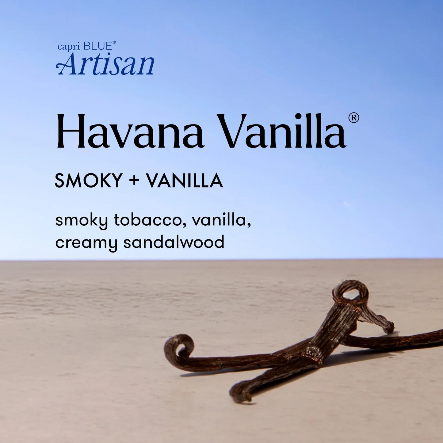 Havana Vanilla Luce d'Amalfi Petite Candle