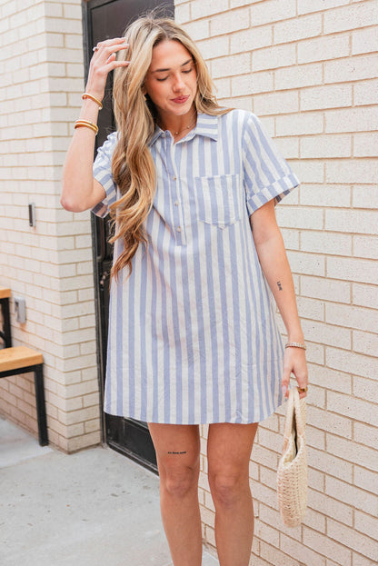 Maine Striped Mini Dress