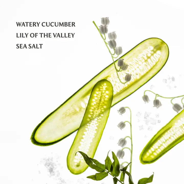 Gentle Mist Lily of the Valley