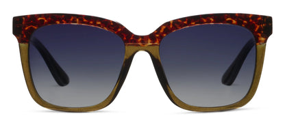 Frenchy Sunglasses (Green Tortoise)